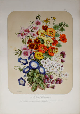 Auguste Faguet (1841-1886), Elisa Champin (1807-1871), Album Vilmorin - No 19 - 1869