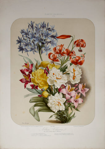 Auguste Faguet (1841-1886), Elisa Champin (1807-1871), Album Vilmorin - No 8 - 1866