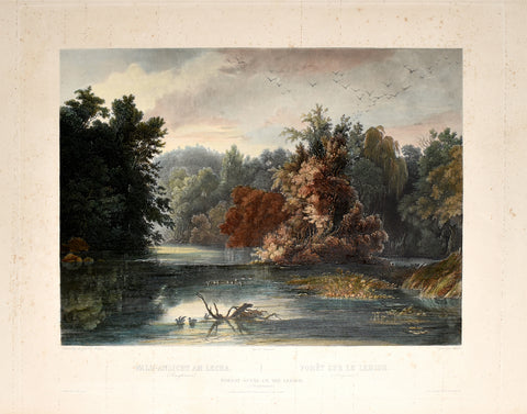 Karl Bodmer (1809-1893), Forest Scene on the Lehigh