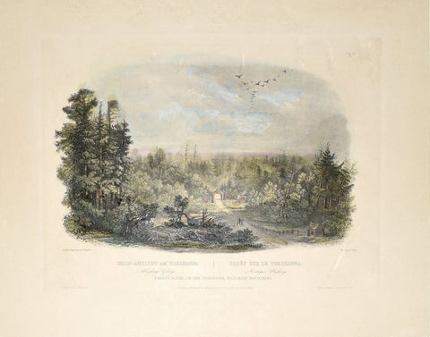 Karl Bodmer (1809-1893), Vig. IV - Forest Scene on the Tobihanna, Allegheny Mountains