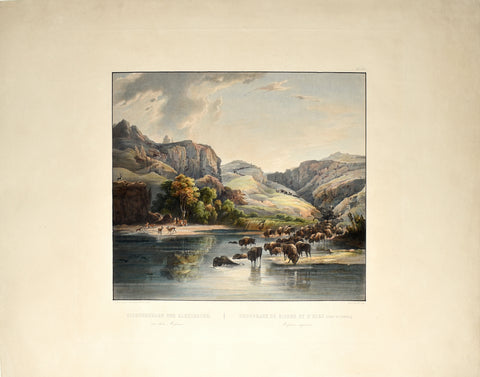 Karl Bodmer (1809-1893), Herds of Bisons and Elks