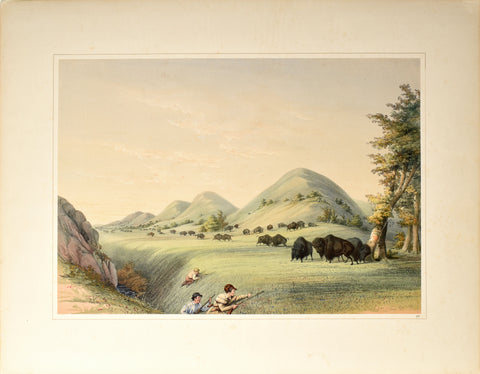 George Catlin (American, 1796-1872), Buffalo Hunt, Approaching in a Ravine