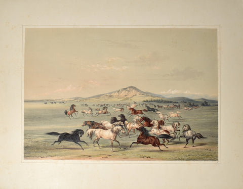 George Catlin (American, 1796-1872), Wild Horses at Play