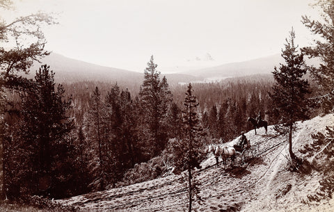 Frank Jay Haynes (1853-1921), Shoshone Lake - Teton Point