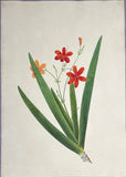 INDO-CHINESE or “STRAITS SCHOOL” (19th century), Album of Flowers and Fruits