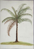 INDO-CHINESE or “STRAITS SCHOOL” (19th century), Album of Flowers and Fruits