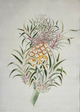 INDO-CHINESE or “STRAITS SCHOOL” (19th century), Album of Flowers and Fruits
