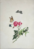 INDO-CHINESE or “STRAITS SCHOOL” (19th century), Album of Flowers and Fruits