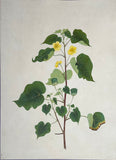 INDO-CHINESE or “STRAITS SCHOOL” (19th century), Album of Flowers and Fruits