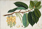 INDO-CHINESE or “STRAITS SCHOOL” (19th century), Album of Flowers and Fruits