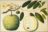 INDO-CHINESE or “STRAITS SCHOOL” (19th century), Album of Flowers and Fruits