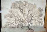 INDO-CHINESE or “STRAITS SCHOOL” (19th century), Album of Flowers and Fruits