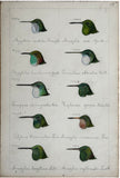 Adolphe Boucard (French, 1839-1905), Original Watercolors