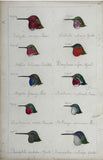 Adolphe Boucard (French, 1839-1905), Original Watercolors