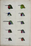 Adolphe Boucard (French, 1839-1905), Original Watercolors