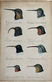 Adolphe Boucard (French, 1839-1905), Original Watercolors