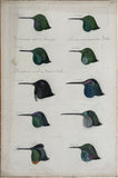Adolphe Boucard (French, 1839-1905), Original Watercolors