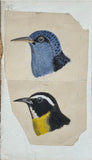 Adolphe Boucard (French, 1839-1905), Original Watercolors