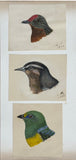 Adolphe Boucard (French, 1839-1905), Original Watercolors