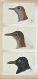 Adolphe Boucard (French, 1839-1905), Original Watercolors