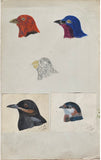 Adolphe Boucard (French, 1839-1905), Original Watercolors