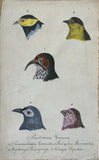 Adolphe Boucard (French, 1839-1905), Original Watercolors