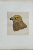 Adolphe Boucard (French, 1839-1905), Original Watercolors