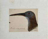 Adolphe Boucard (French, 1839-1905), Original Watercolors