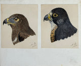 Adolphe Boucard (French, 1839-1905), Original Watercolors