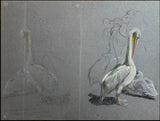 GÉZA VASTAGH (BUDAPEST 1866-1919), Double-sided drawing: Studies of pelicans and a monkey (Pelecanidae)