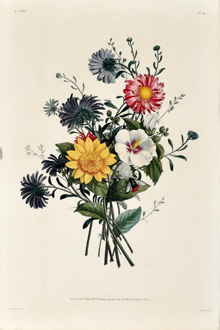 Jean Louis Prevost (1760-1810), Plate 14