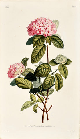 Jean Louis Prevost (1760-1810), Plate 18