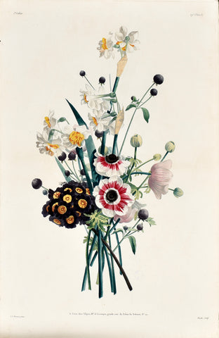 Jean Louis Prevost (1760-1810), Plate 29