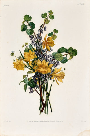 Jean Louis Prevost (1760-1810), Plate 33