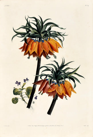 Jean Louis Prevost (1760-1810), Plate 34