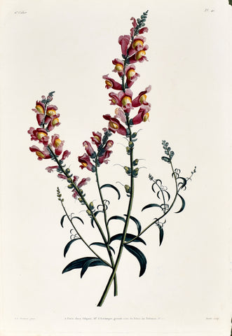 Jean Louis Prevost (1760-1810), Plate 41