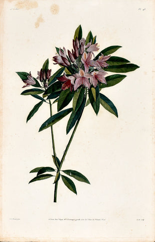 Jean Louis Prevost (1760-1810), Plate 48