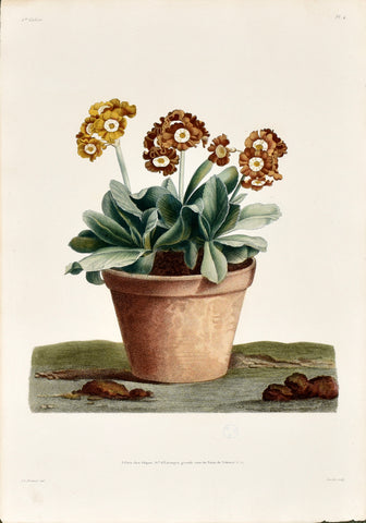 Jean Louis Prevost (1760-1810), Plate 4