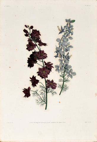 Jean Louis Prevost (1760-1810), Plate 6