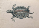 DUTCH SCHOOL, (17th CENTURY),  An Album of 39 Watercolors of Fish and Other Sea Creatures