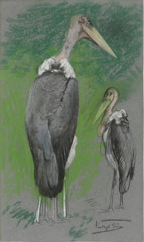 GÉZA VASTAGH (BUDAPEST 1866-1919), Two marabou stork (Leptoptilos crumenifer)