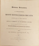 George Brookshaw  (1751-1823), Pomona Britannica, or a collection of the most esteemed fruits at present cultivated in Great Britain