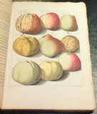 Johann Hermann Knoop (1700-1769), Pomologia, Fructologia, Dendrologia