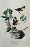 John James Audubon (1785-1851), Plate XL American Redstart