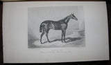 George Tattersall (1817-1849), The Pictorial Gallery of English Race Horses; Containing Portraits of all the Winners of the Derby, Oaks, and St. Leger Stakes, during the last twenty years...
