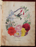 Elizabeth Washington Gamble Wirt as “Mrs. E. W. Wirt, of Virginia” (1784-1857), Flora's Dictionary