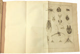 René Antoine Ferchault de Réaumur (1683-5717), Memoires pour servir a l’Histoire des Insectes