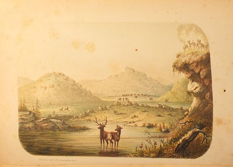 Charles Wilkins Webber (1819-1856), The Hunter-Naturalist. Romance of Sporting; or, Wild Scenes and Wild Hunters