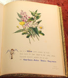 Jane Elizabeth Giraud (1810-1868). The Flowers of Shakespeare