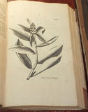 Nikolaus Joseph Freiherr von Jacquin (1727-1817), Selectarum stirpium Americanarum historia...